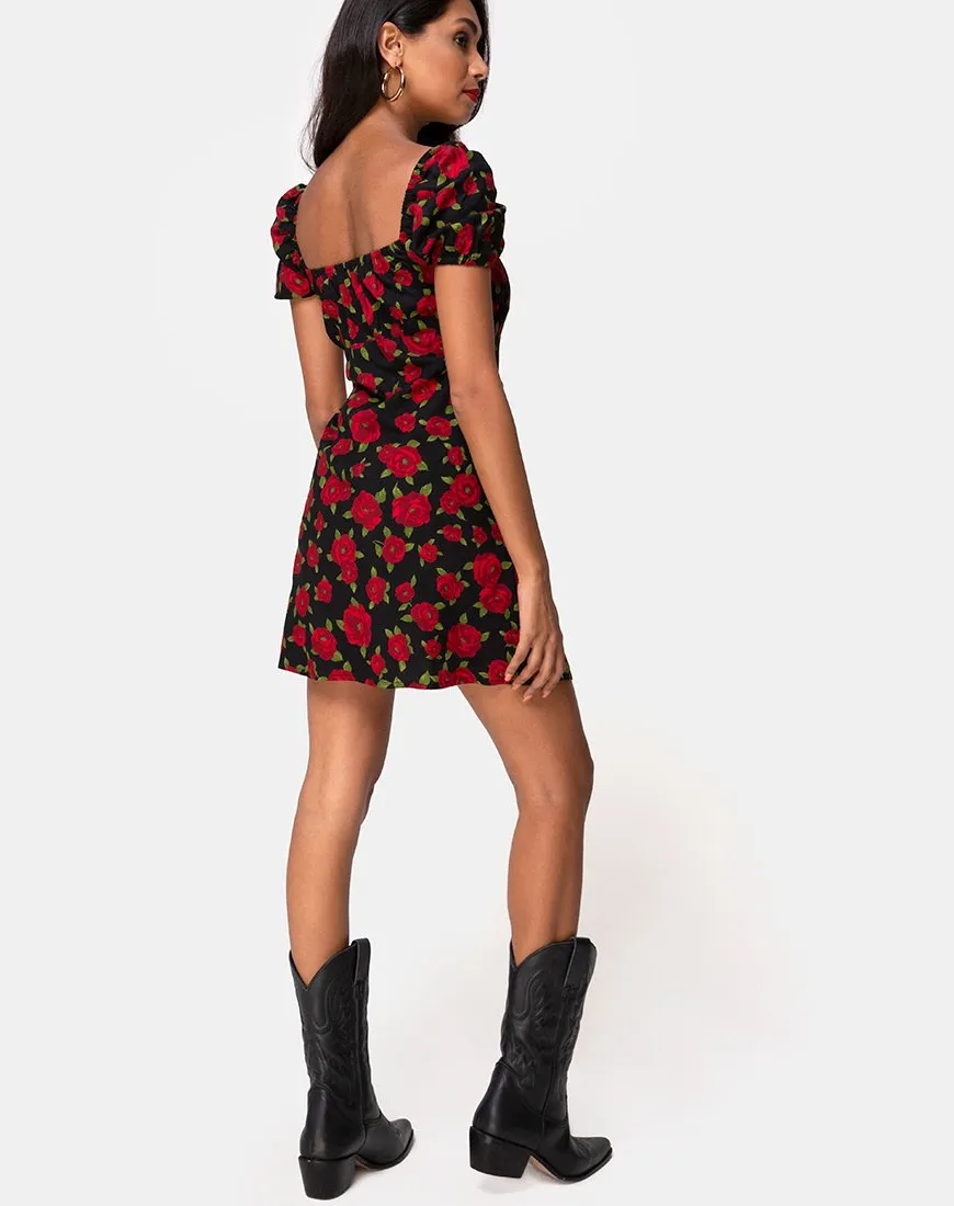 Ruzenta Mini Dress in Roaming Rose Black